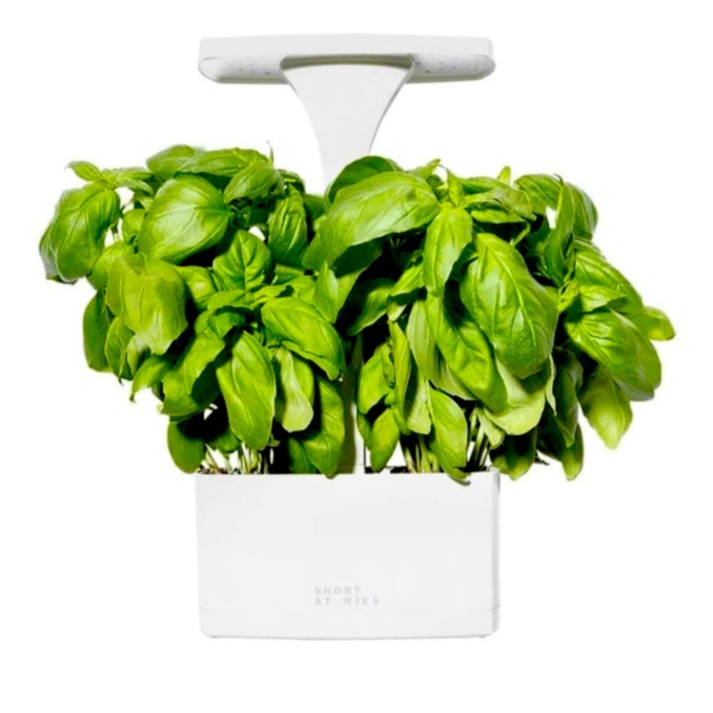 New In Box Short St_ries LED Indoor Planter